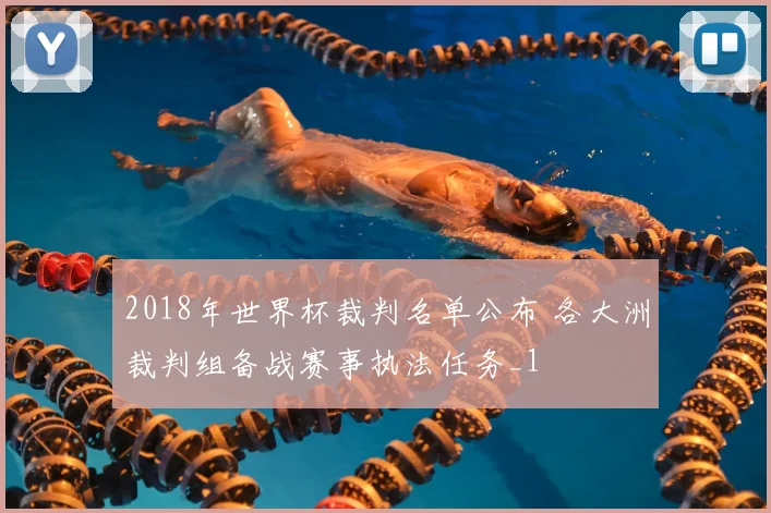 2018年世界杯裁判名单公布 各大洲裁判组备战赛事执法任务_1