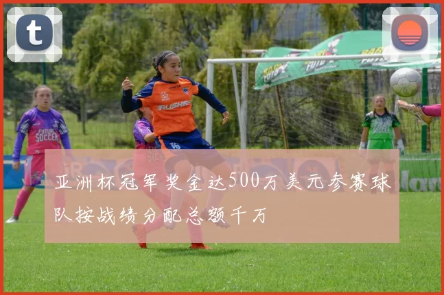 亚洲杯冠军奖金达500万美元参赛球队按战绩分配总额千万